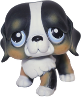 #0145 Saint Bernard